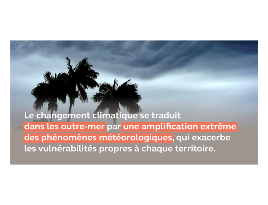 Rapport public annuel 2024, infographie sur l'outre-mer