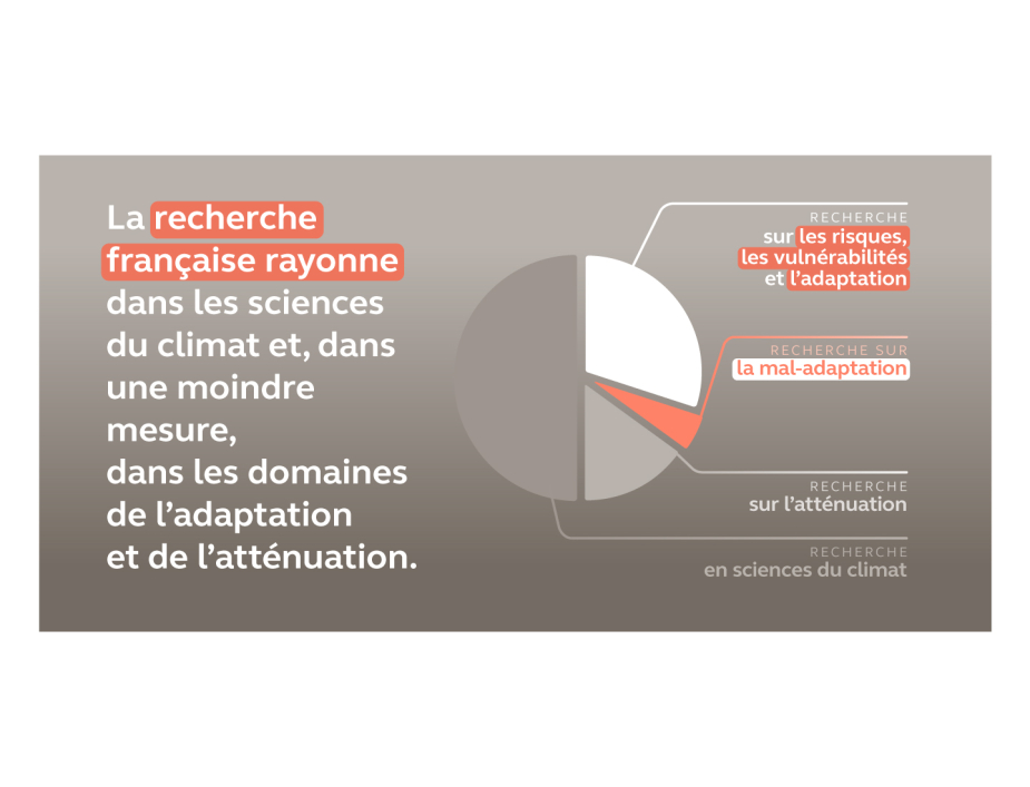 Rapport public annuel 2024, infographie sur la recherche