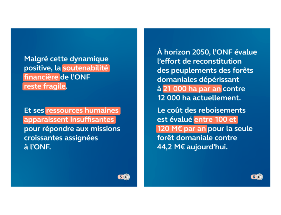 L’ONF au défi de la transition écologique, vignette 3