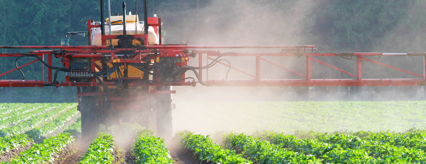 Vue d’un tracteur dans un champ de légumes