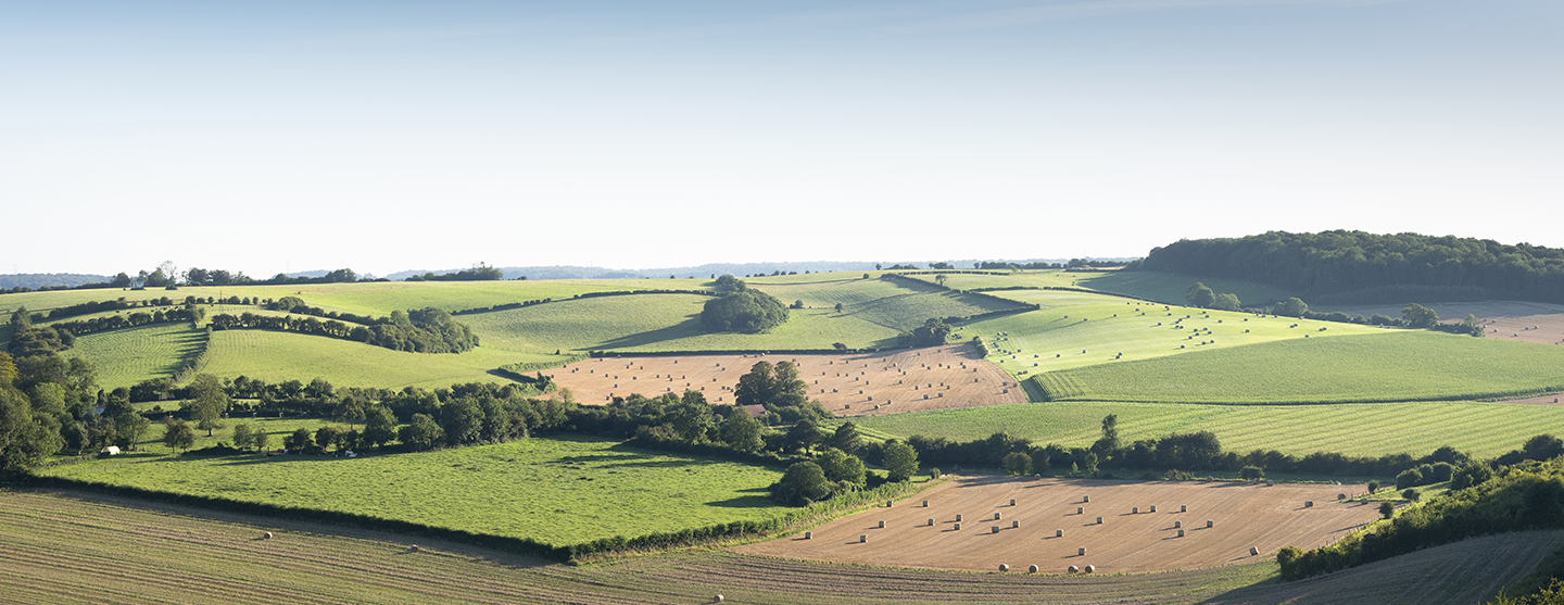 Vue d'un champ agricole