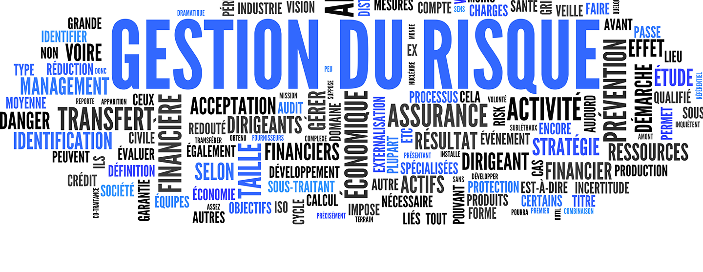 Nuage de mots autour de la notion de risques