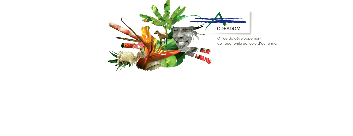 Logo de l'Odeadom
