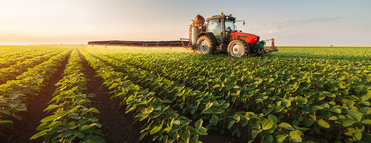 Tracteur dans un champ