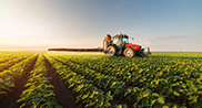 Tracteur dans un champ